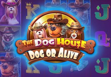 NetEnt - игровой автомат онлайн от Various с RTP 96.34%